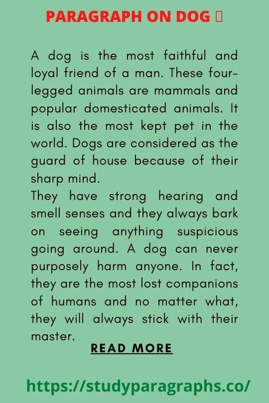 Paragraph about dog the faithful animal