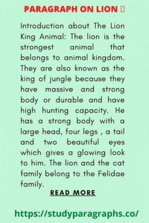 Short And Long Paragraph on Lion The King Animal