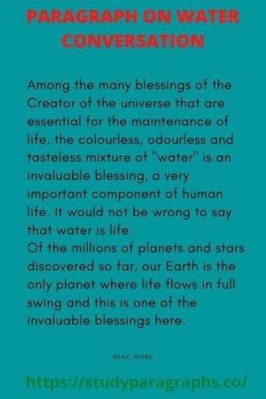 5 Paragraph On Water Conservation & Its Importance In Our Lives