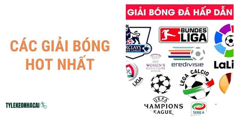 Tại studyparagraphs.co luôn cập nhật đầy đủ lịch mọi giải đấu bóng