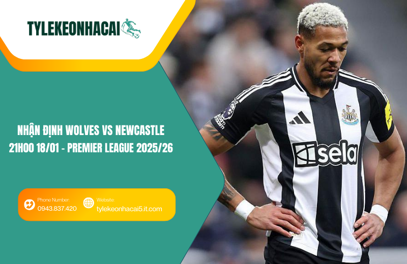 Đội hình dự kiến trước trận Wolves vs Newcastle