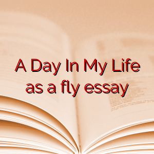 A Day In My Life as a fly essay