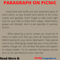 Paragraph On Picnic | Example In English For Students