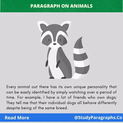 About Animals Paragraph Writing Example In English For Students