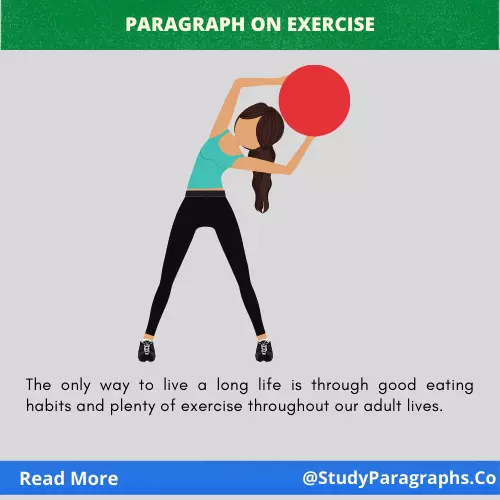 Value & Importance Of Exercise Paragraph Writing Example