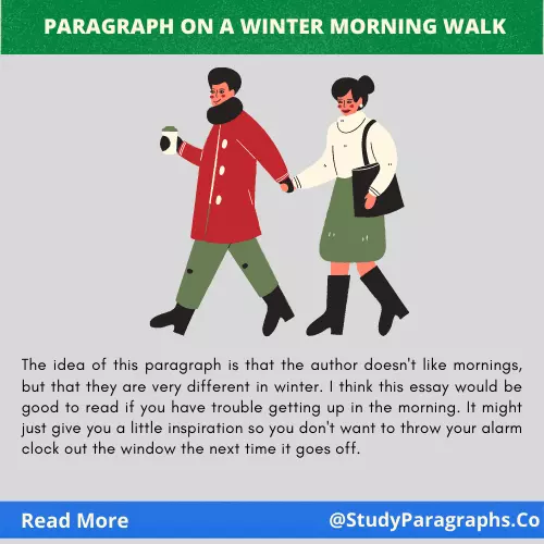 Short paragraph about a winter morning walk