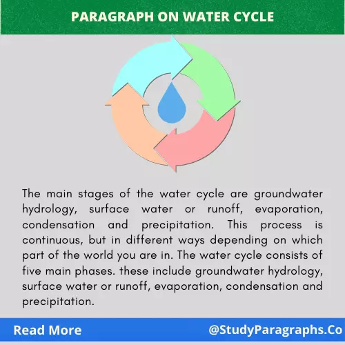 About Water Cycle Paragraph Writing Example In English For Students