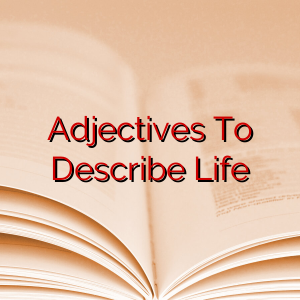 Adjectives To Describe Life