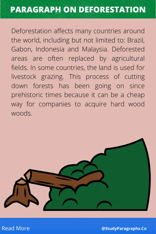 Paragraph about Deforestation