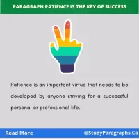 Patience Is The Key Of Success Paragraph Writing Example In English