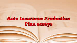 Auto Insurance Production Plan essays