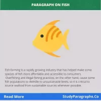 Fish Paragraph Writing Example In English For Students