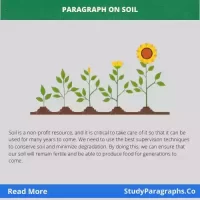 Paragraph writing on soil
