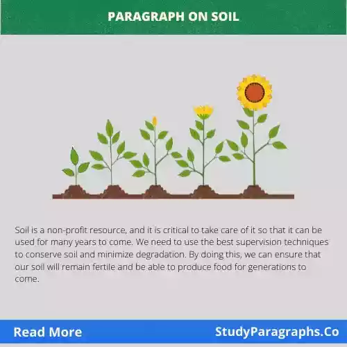 Paragraph writing on soil