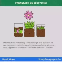 Ecosystem Short Essay & Paragraph Writing Example For Students