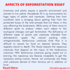 Effects Of Deforestation Essay In 250 Words For Students