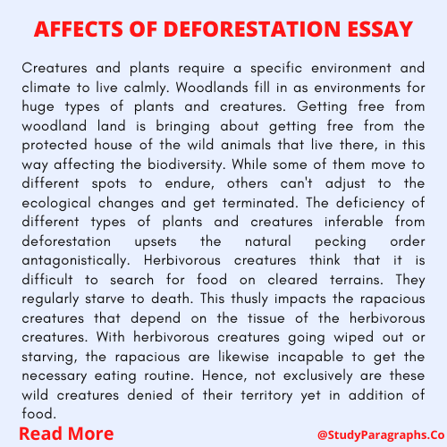 Effects Of Deforestation Essay Example In English For Students