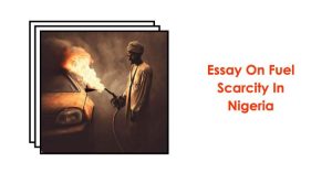 Causes and Impacts Essay On Fuel Scarcity In Nigeria