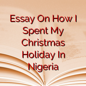 Essay On How I Spent My Christmas Holiday In Nigeria