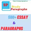 A Day Before Examination Essay & Paragraph