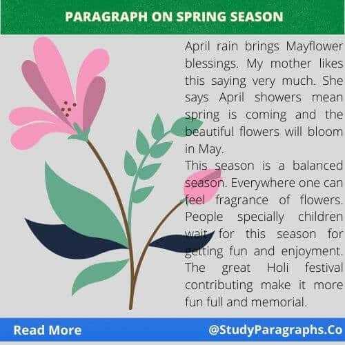 Paragraph about spring season Beauty