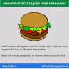 Harmful Effects Of Junk Food Paragraph In 100, 150 Words