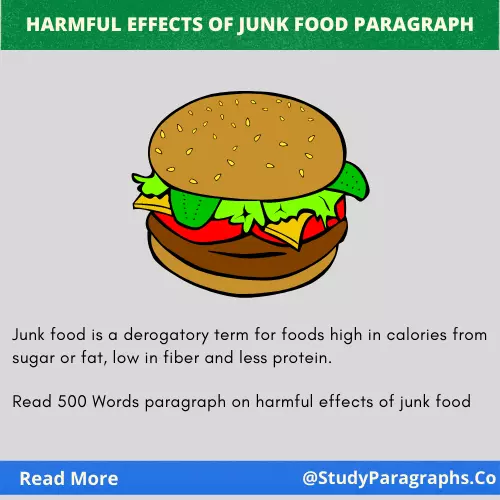 Harmful Effects Of Junk Food Paragraph In 100 - 150 Words