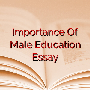 Importance Of Male Education Essay