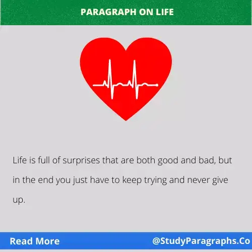 About Life Paragraph Writing Example In English For Students