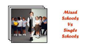 Essay On Mixed Schools Vs Single Schools