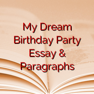 My Dream Birthday Party Essay & Paragraphs