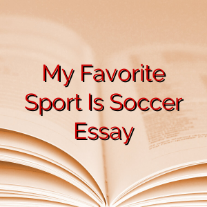 My Favorite Sport Is Soccer Essay