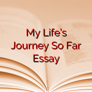 My Life’s Journey So Far Essay