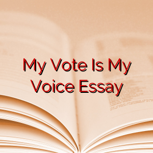 My Vote Is My Voice Essay