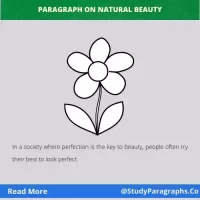 Beauty Of Nature Paragraph Writing Example English For Kids