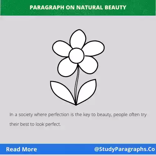 Paragraph on beauty of nature