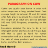 Short 10 Lines Paragraph On Cow For Class 1, 2, & 3 Students