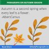 500 Words Paragraph On Autumn Season For Class 3 Students