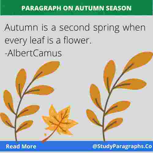 Paragraph about Autumn Season
