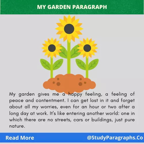 My Garden Paragraph Writing Example In English For Students
