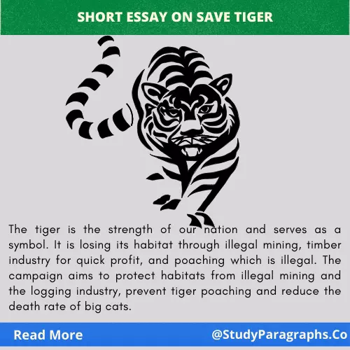 Short Essay On Save Tiger Animal In 150, 200 Words
