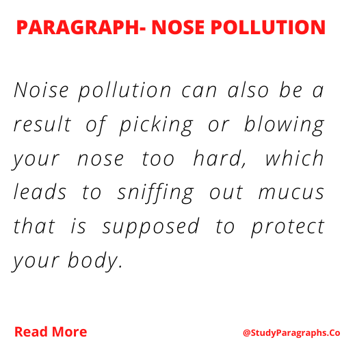 Nose Pollution Paragraph Writing Example In English