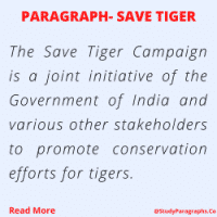 Paragraph On Save Tiger Campaign For Students