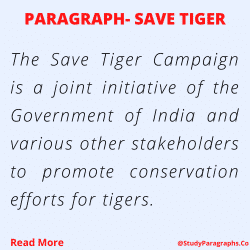 Paragraph about save tiger
