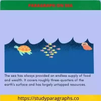 Short 200 Words Paragraph On Sea For Kids Students