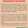 Short Paragraph On Horse For Class 2, 3 For Students