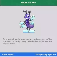 Short Essay On Ant For Kids Students And Children