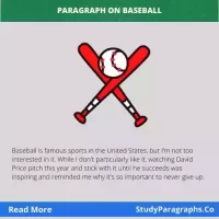 The Baseball Paragraph Writing Example In English