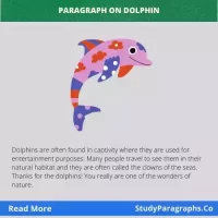 The Dolphin Paragraph Writing Example In English