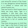 Short And Long Paragraph on Tiger In English For students